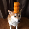 @_discord_200656134154092545:t2bot.io