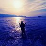 @telegram_871158132:t2bot.io