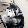 @_discord_491705554004082699:t2bot.io