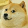 @doge:t2bot.io