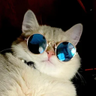 @_discord_195319699104333824:t2bot.io