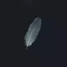 @_discord_425390983342063638:t2bot.io