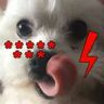 @_discord_167920149083455488:t2bot.io
