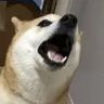 @_discord_268170701486161920:t2bot.io