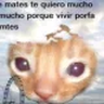 @_discord_389299042812821504:t2bot.io