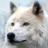 @_discord_1008690537739587664_white=20wolf⁂:t2bot.io