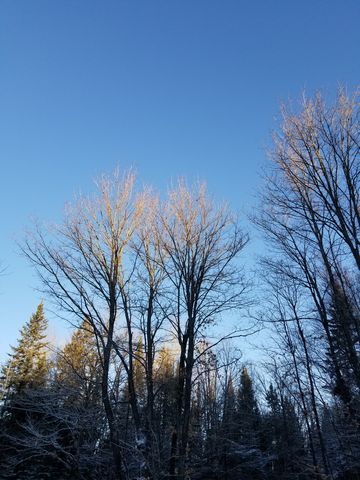 0820300.jpg