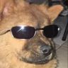 @_discord_314802520725782529:t2bot.io