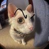 @telegram_1055790586:t2bot.io