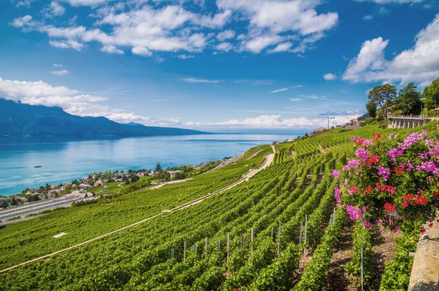 Lake_geneva_Switzerland.jpg