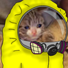 @_discord_384342022955466753:t2bot.io