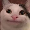 @_discord_458683567573041162:t2bot.io