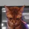 @_discord_346455523446489088:t2bot.io