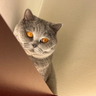 @_discord_823228721883774998:t2bot.io