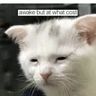 @_discord_857155780284645427:t2bot.io