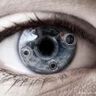@_discord_564819434020274178:t2bot.io