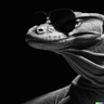 @_discord_693987130036453398:t2bot.io