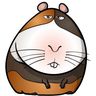 @telegram_434501310:t2bot.io