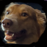 @_discord_910666915205226496:t2bot.io