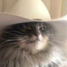 @_discord_160328830341349376:t2bot.io