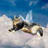 @telegram_53788689:t2bot.io