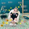 @telegram_6149473207:t2bot.io