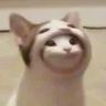 @_discord_144415496123580416:t2bot.io