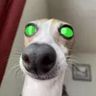 @_discord_144550424223940609:t2bot.io