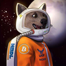 @_discord_641366521079136287:t2bot.io