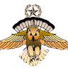 @telegram_981020998:t2bot.io