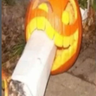 @_discord_957358199445528576:t2bot.io