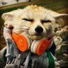 @telegram_62459772:t2bot.io