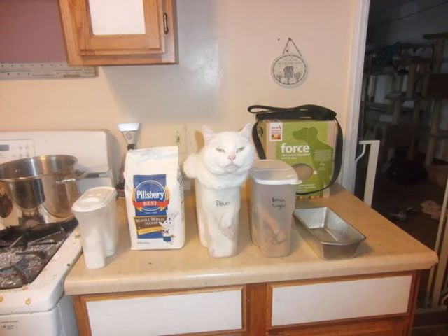 flour.jpg