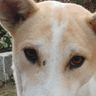 @telegram_935648107:tchncs.de