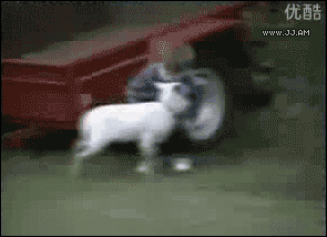 fiajdncdjsjskaslljcjs.gif