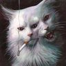 @telegram_1851156:tchncs.de