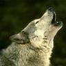 @telegram_481696939:tchncs.de