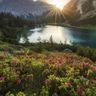 @_discord_854173429506375680:tchncs.de