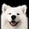 @_discord_618114750827462660:techlore.net