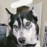 @_discord_462529380263002123:techlore.net
