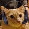 @_discord_697999261035397130:techlore.net
