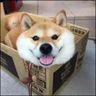 @_discord_800657980101230612:techlore.net
