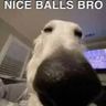 @_discord_872184540255367210:techlore.net