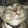 @_discord_482361239197057040:techlore.net