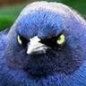 @_discord_286207879944601600:techlore.net