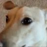 @_discord_780323692541771787:techlore.net
