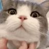 @_discord_806494205094395935:techlore.net